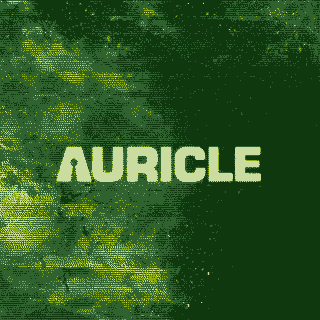 auricle