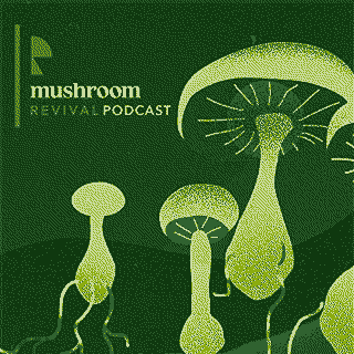 Mushroom
                  Revival